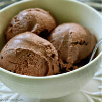 Chocolate Peanut Butter Banana Ice Cream in a white bowl
