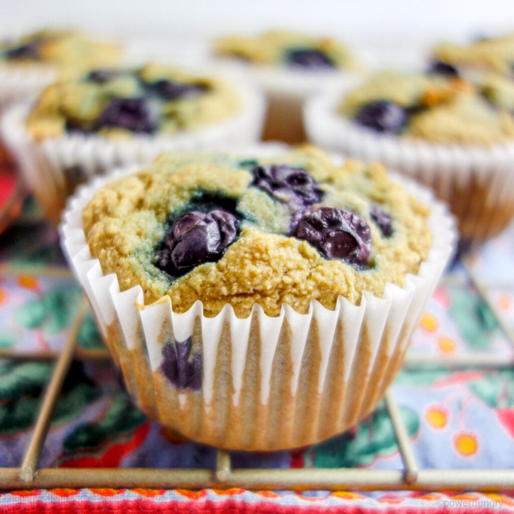 gluten free coconut flour oat blueberry muffin on a cooling rack