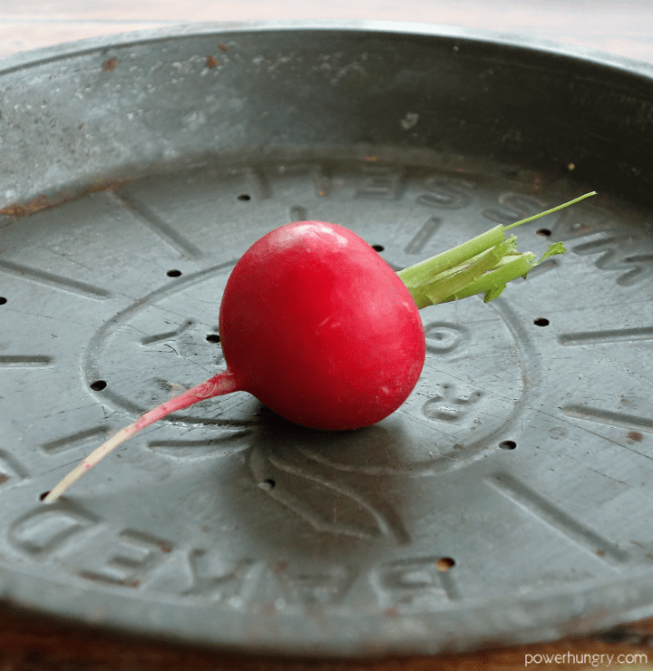 close up of a red radish in an antique pie plate