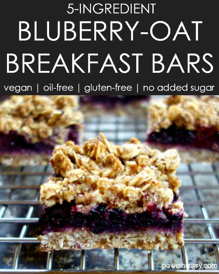 Close-up of a 5-Ingredient blueberry oat breakfast bar
