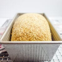 gluten-free vegan sandwich bread in a metal loaf pan